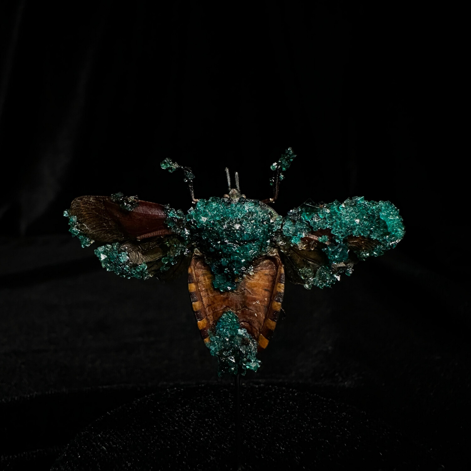 True Bug with Teal Crystals