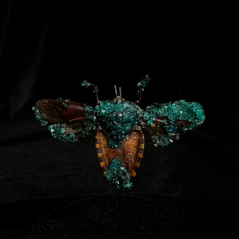 True Bug with Teal Crystals