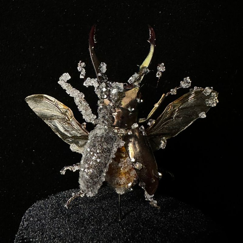 Metallic Stag Beetle with Clear Crystals