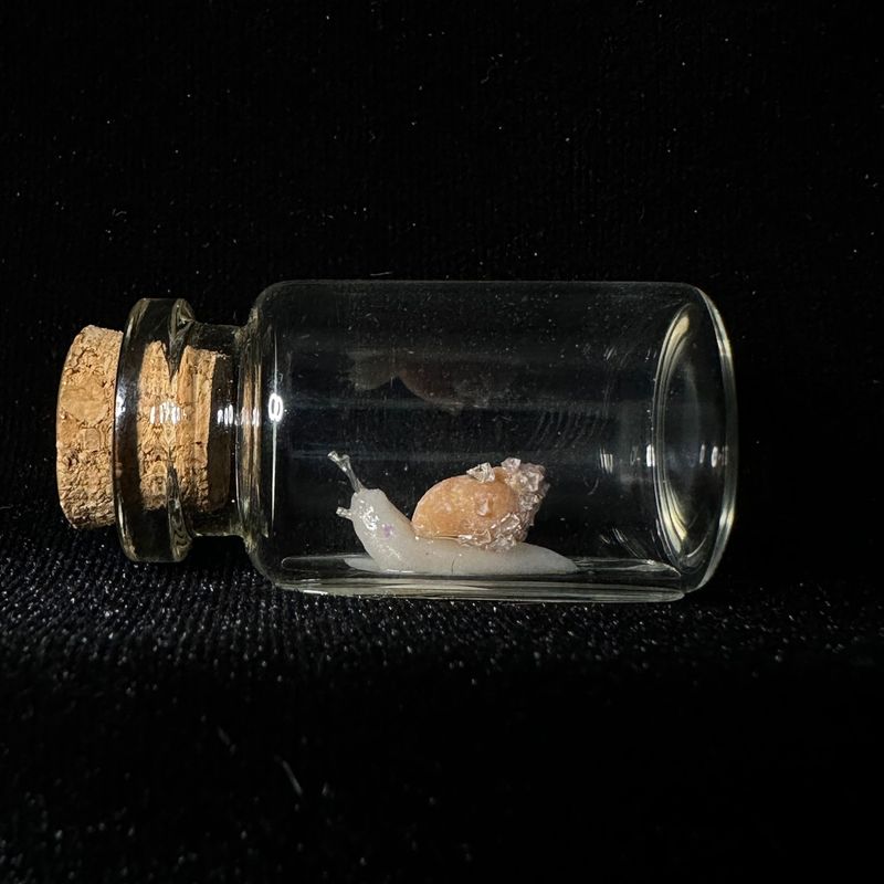 Snail in a Jar with Crystal Shell