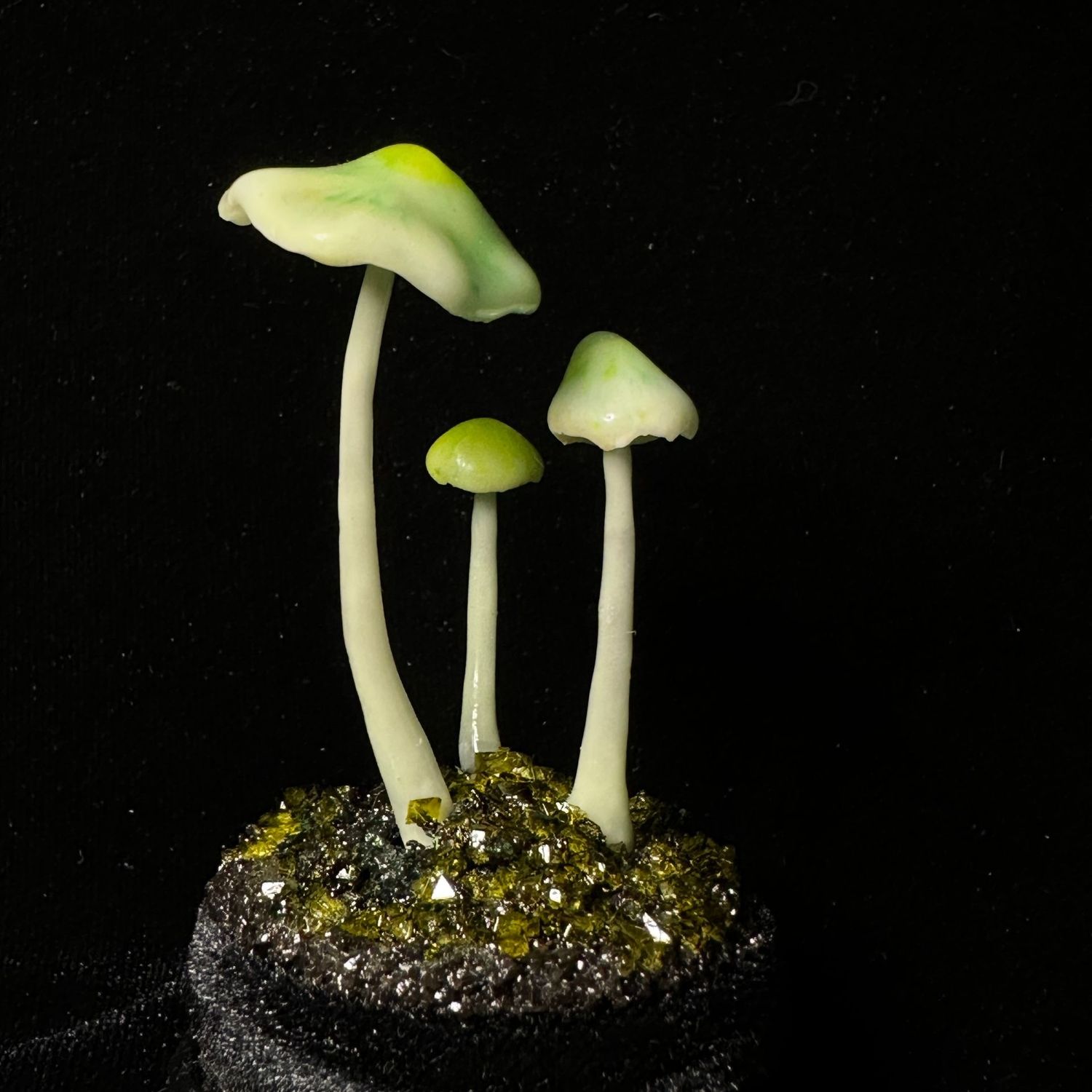 Green Glow Mushroom Garden