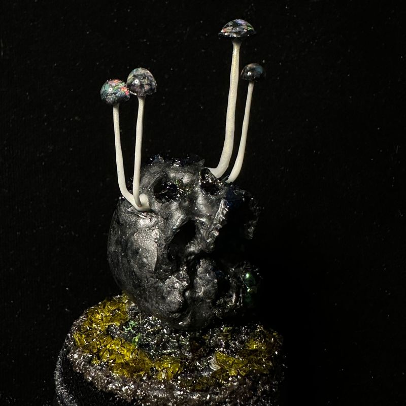 Skull Decay Opal Mushrooms