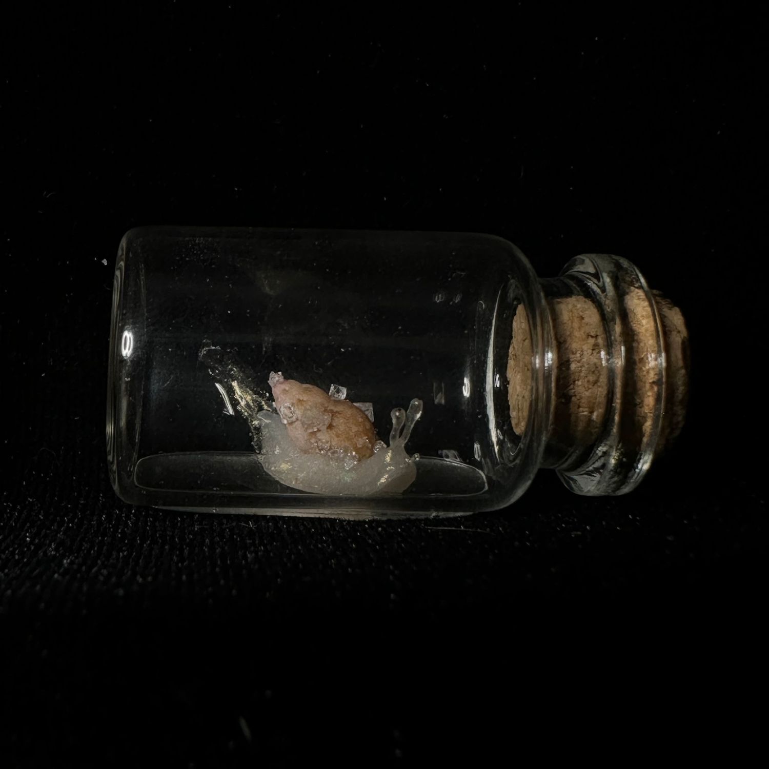 Snail in a Jar with Crystal Shell