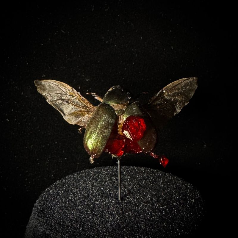 Shiny True Leaf Beetle with Red Crystals