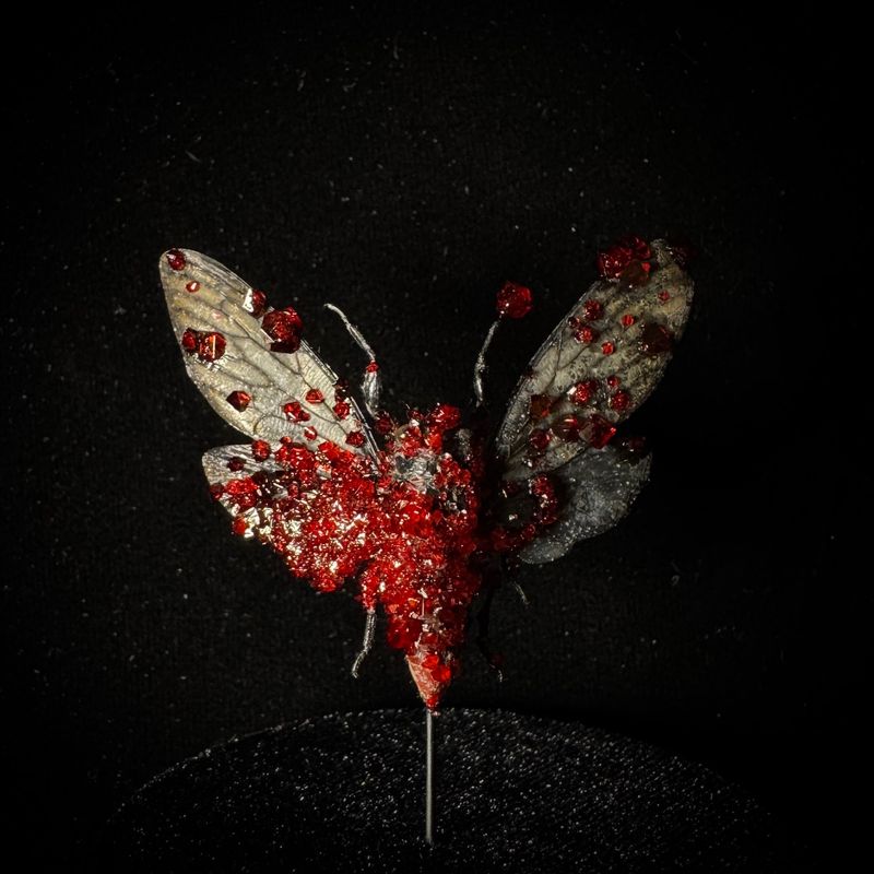 Red Devil Cicada with Red Crystals