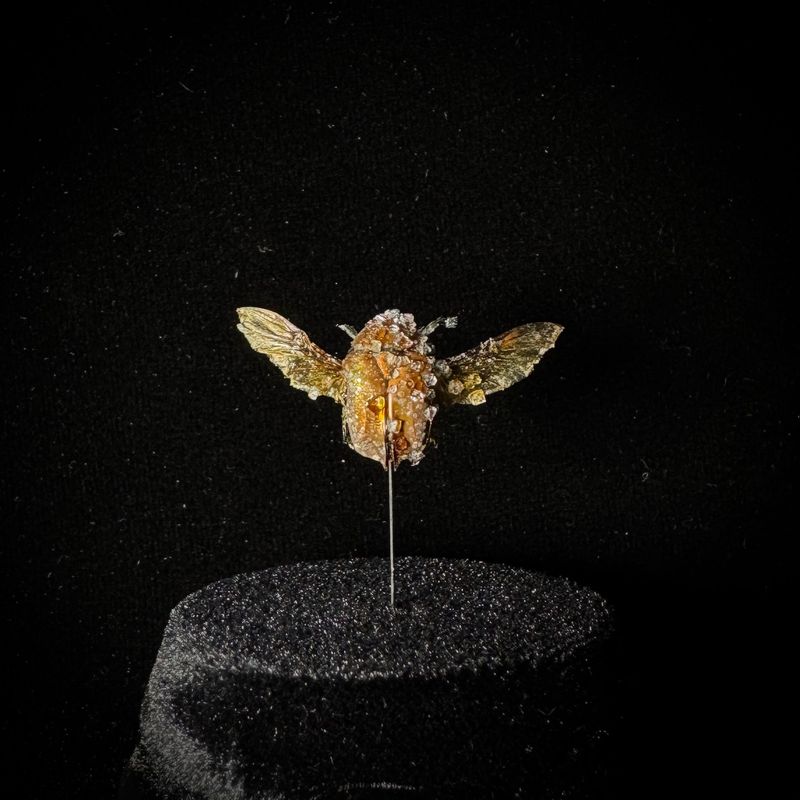 Flower Beetle with Clear Crystals