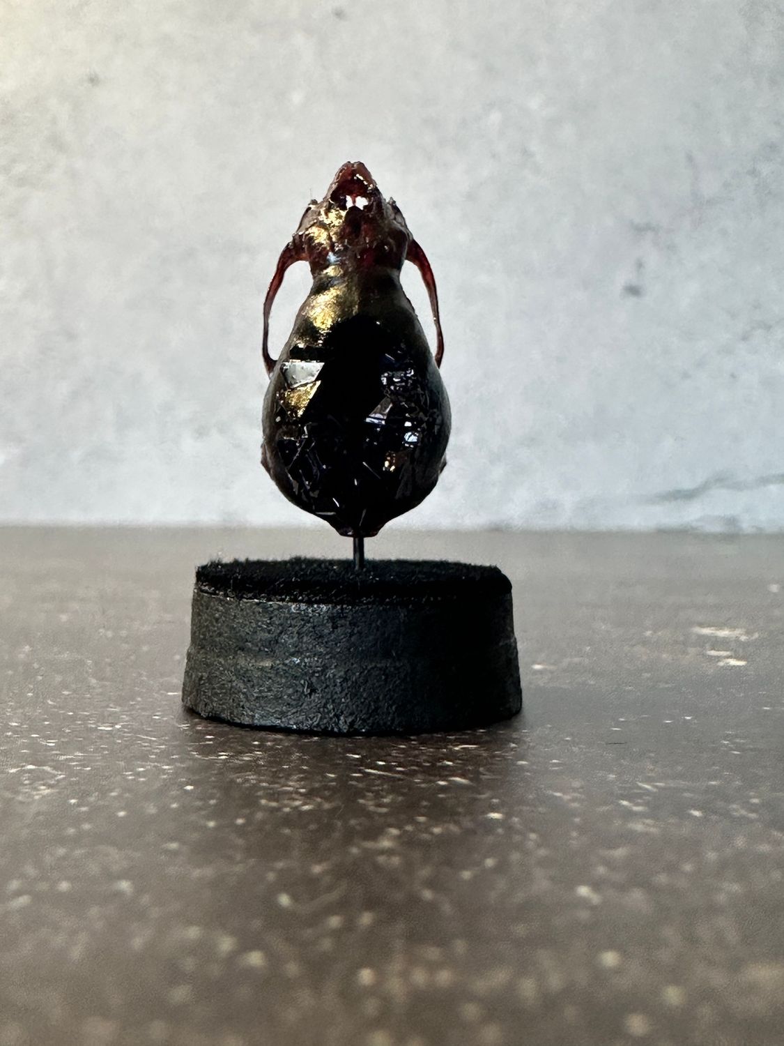 Vampire Bat Skull (Vegan) with Purple Crystals
