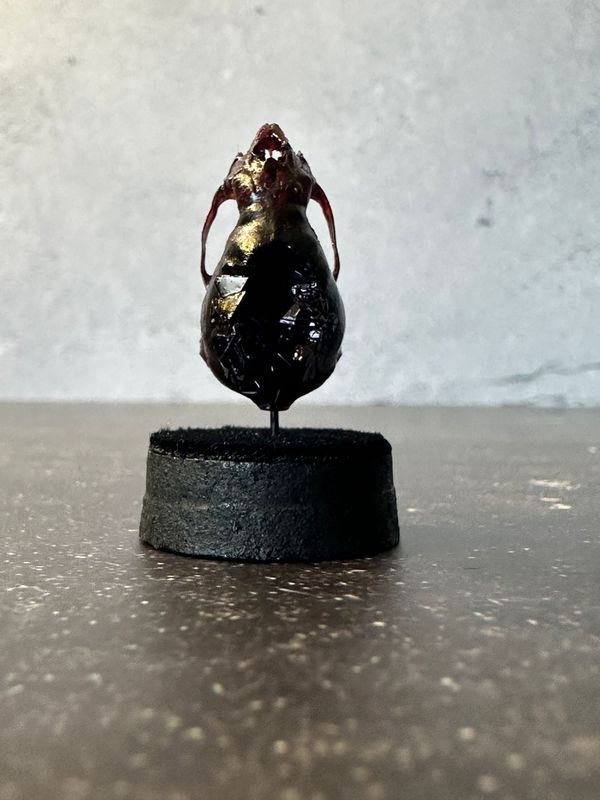 Vampire Bat Skull (Vegan) with Purple Crystals