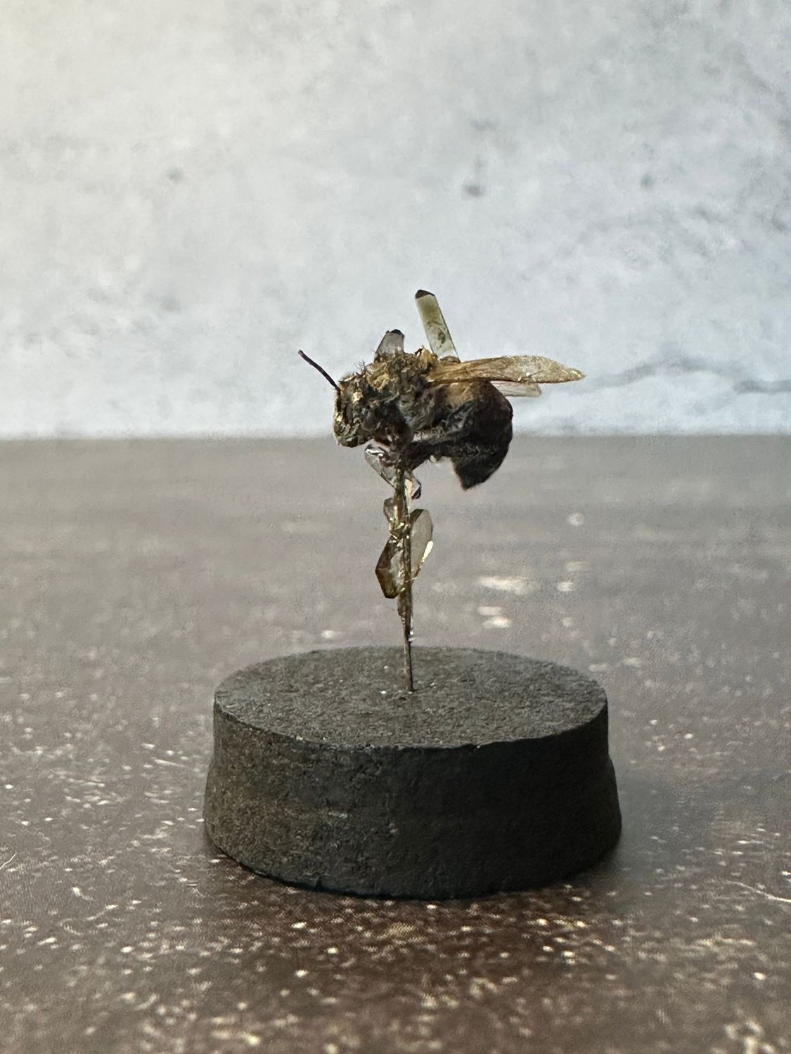 Honey Bee with Smokey Crystals