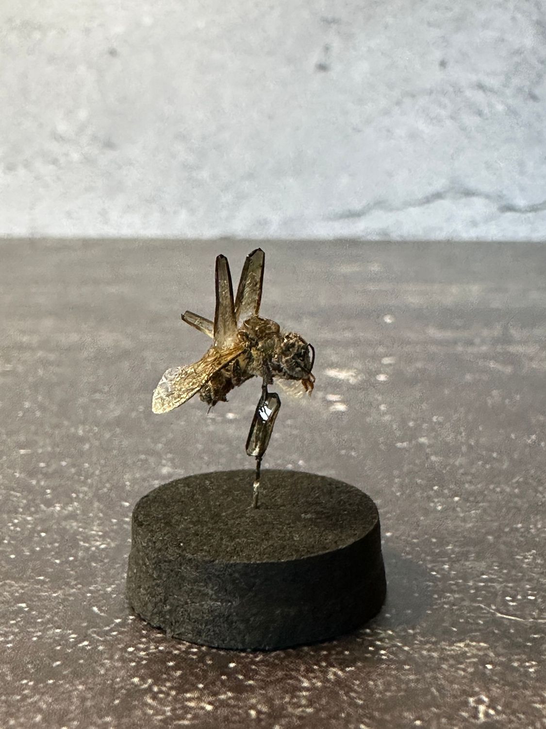 Honey Bee with Smokey Crystals