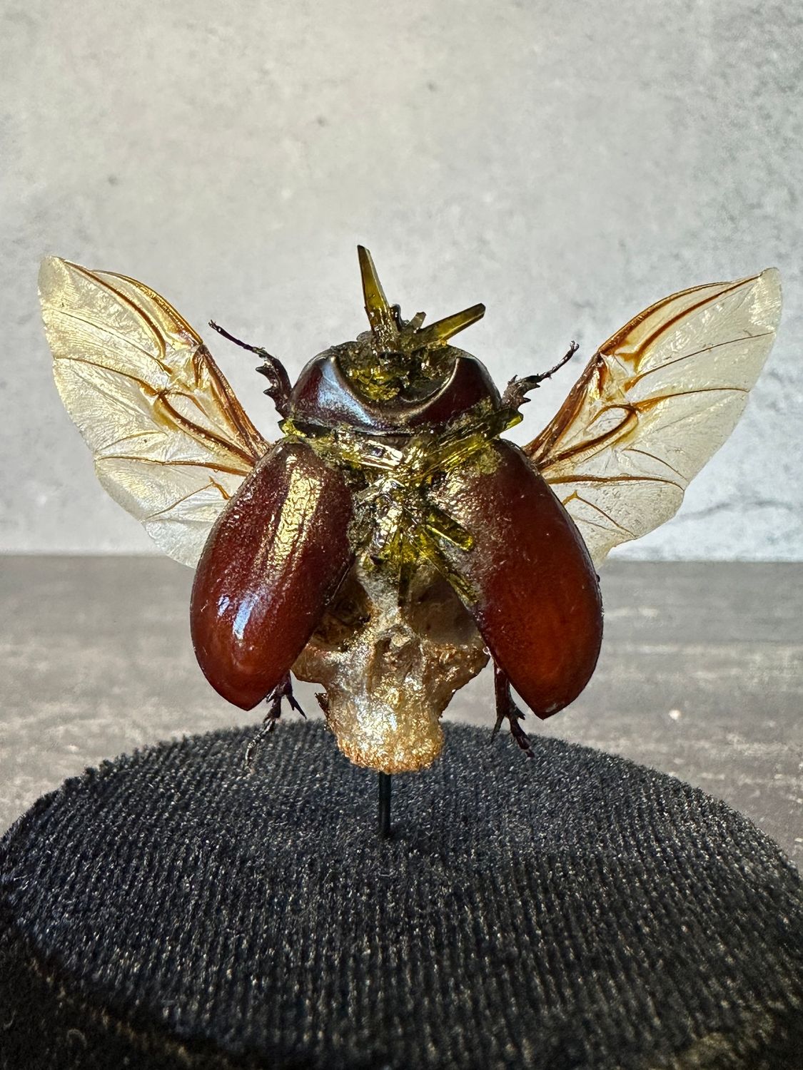 Skully Ox Beetle with Peridot Crystals