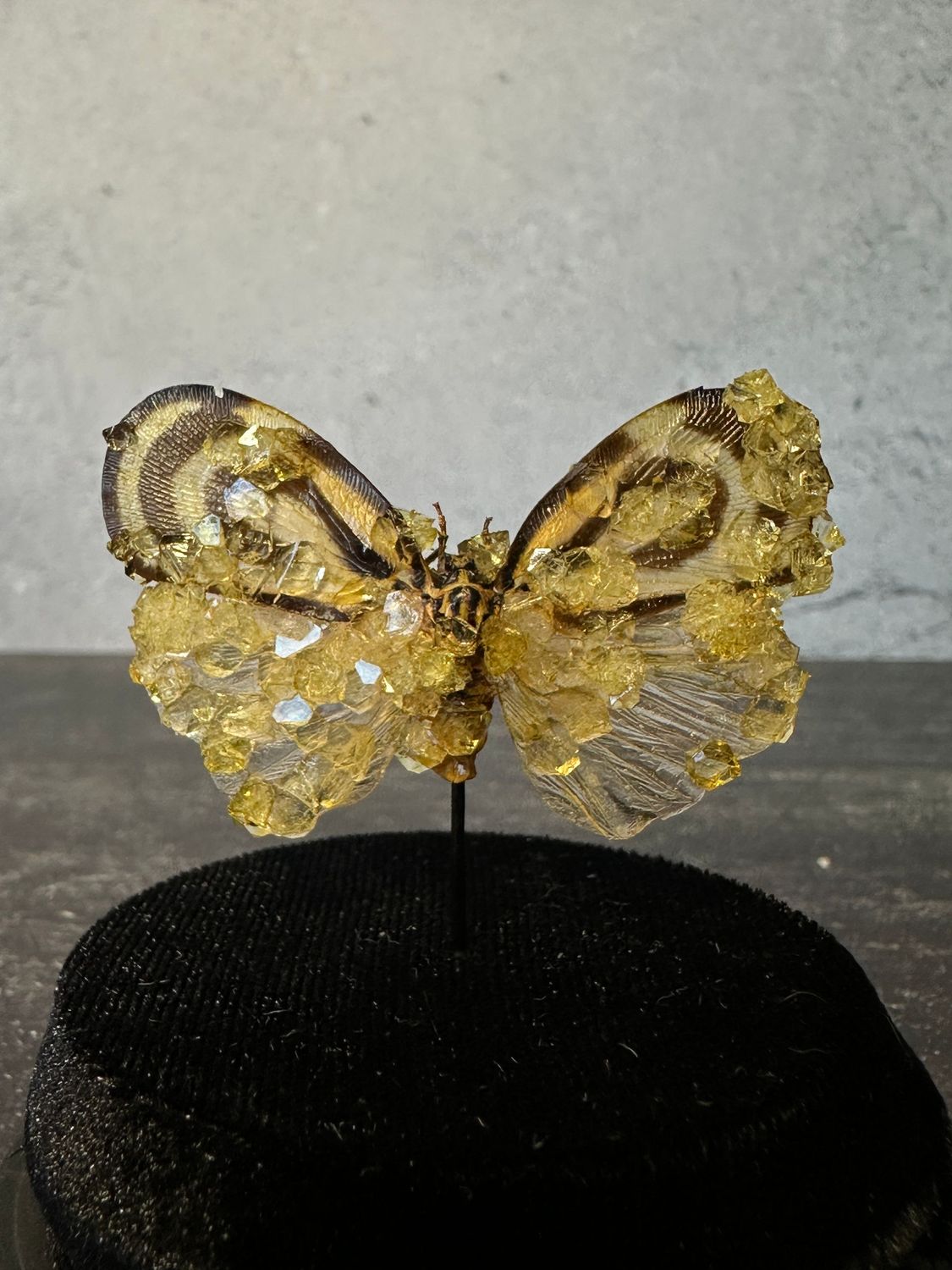 Butterfly Cicada with Lemon Crystals