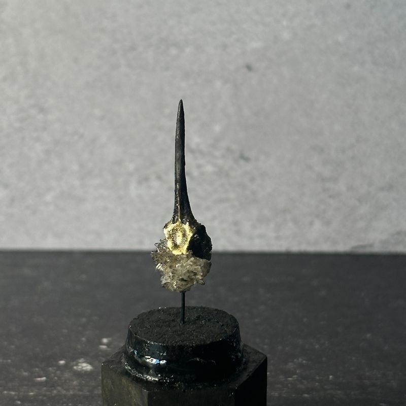 Ruby Throated Hummingbird Skull (Vegan)