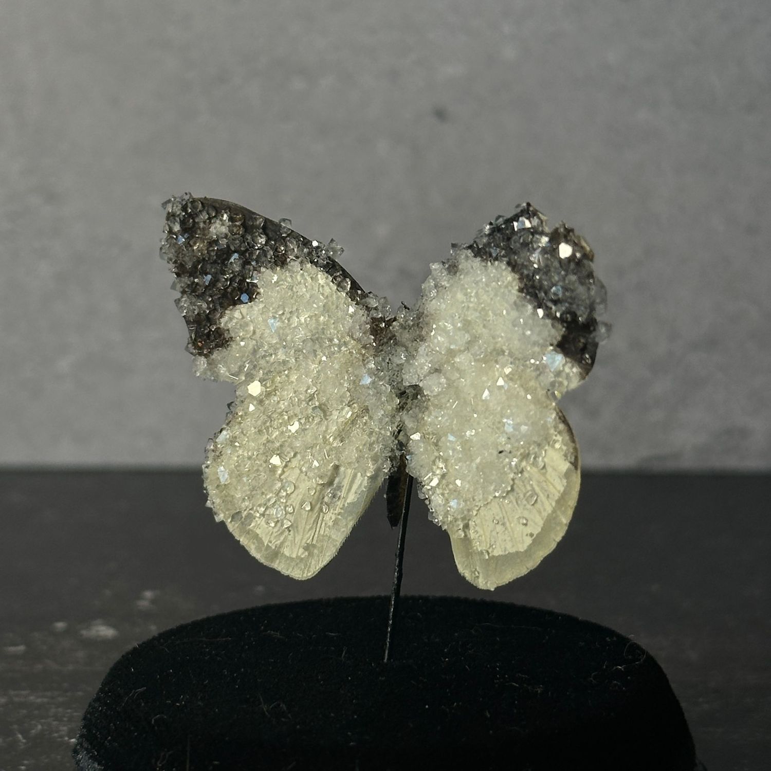 Albatross Butterfly with Clear Crystals