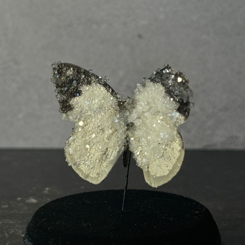 Albatross Butterfly with Clear Crystals
