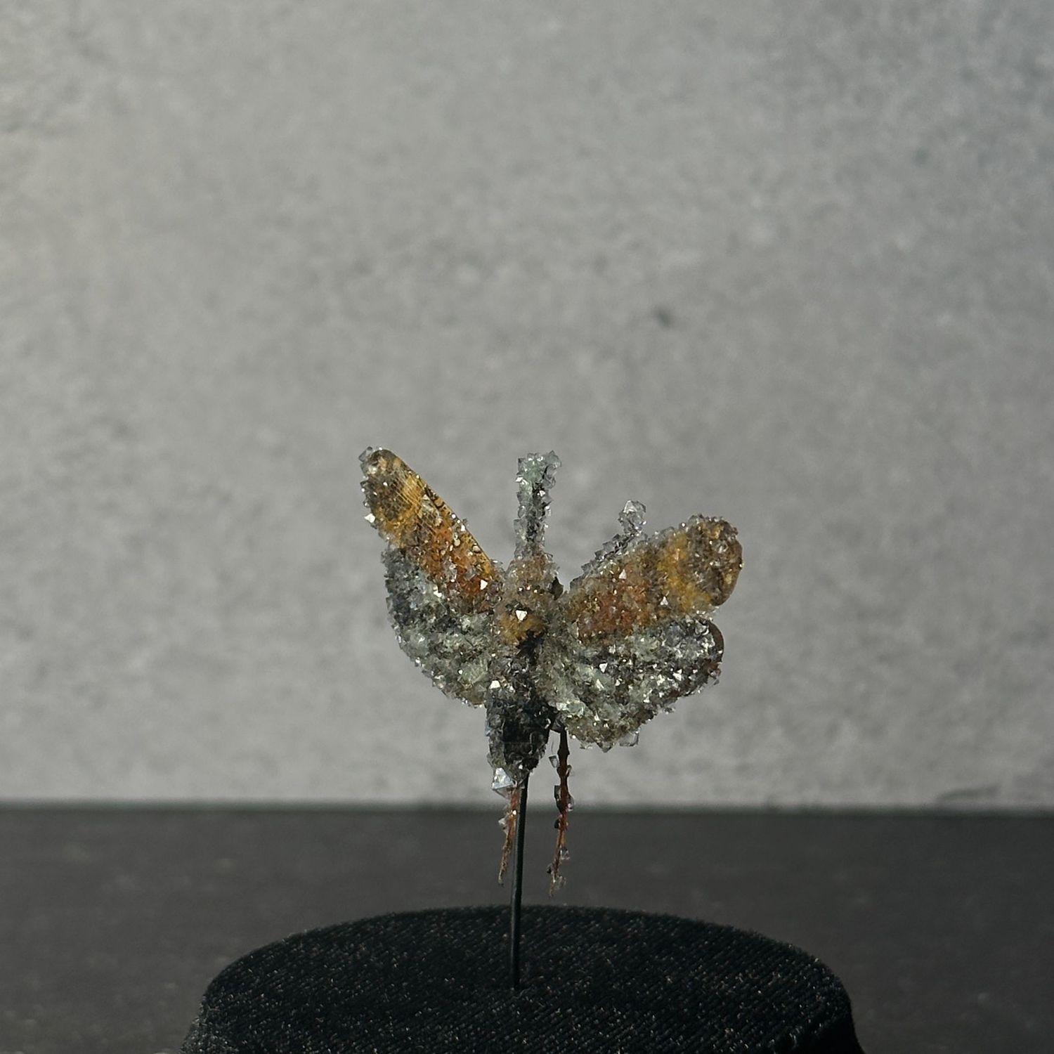 Lanternfly Cicada with Clear Crystals