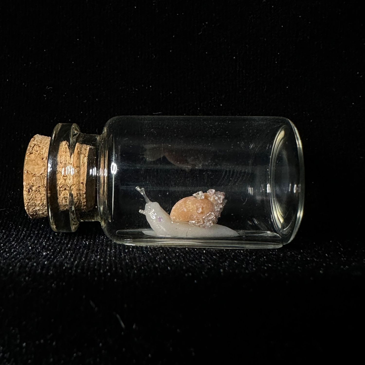 Snail in a Jar with Crystal Shell Snail in a Jar with Crystal Shell