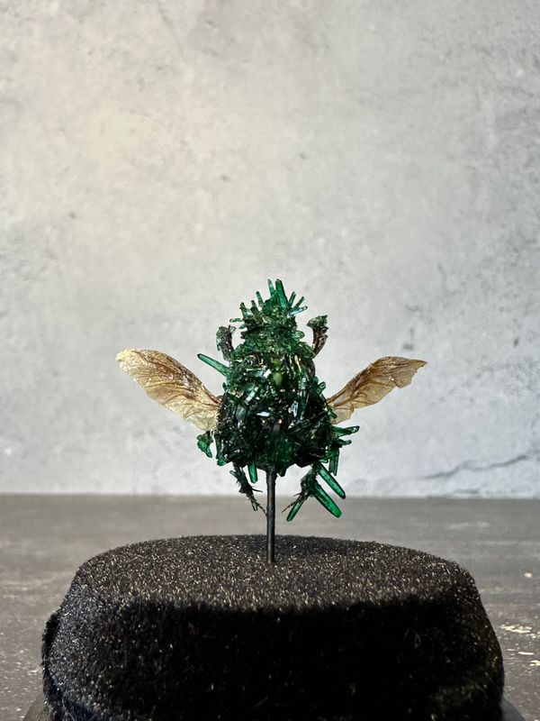 Green Scarab with Emerald Crystals