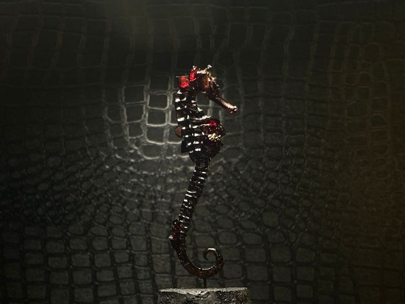 Seahorse Skeleton (Vegan)