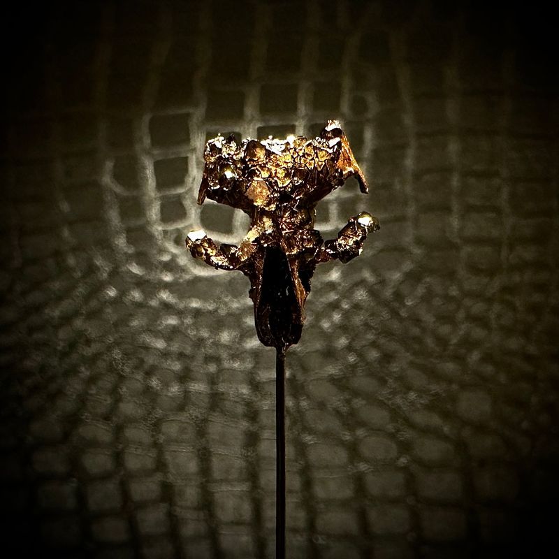 Gilded Rat Skull with Smokey Crystals