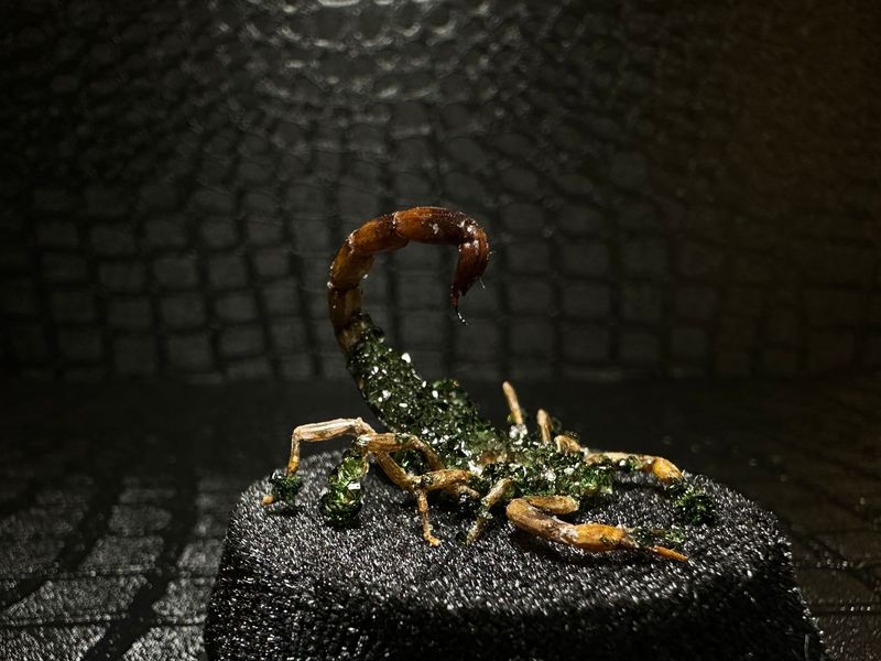 Chinese Scorpion with Green Crystals