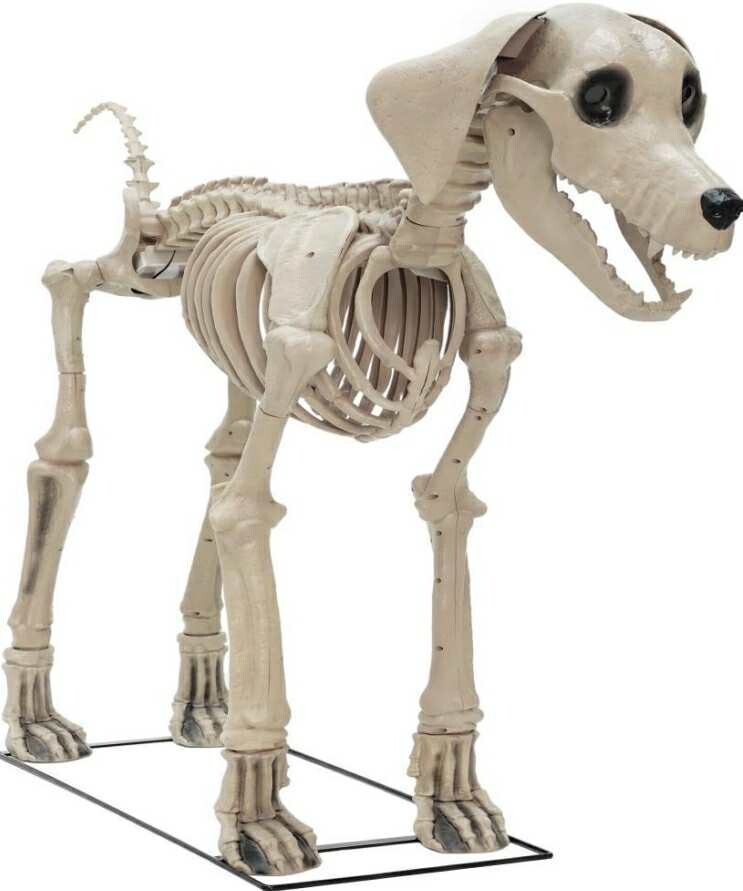 7 FT SKELETON DOG ANIMATED HALLOWEEN PROP IN STOCK NOW