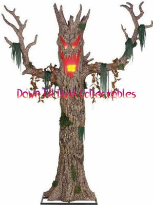 10 FT MURDEROUS MAPLE IN STOCK NOW 10 FT MURDEROUS MAPLE IN STOCK NOW