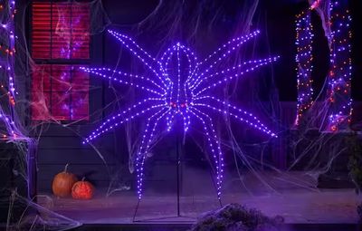 5.5 ft. LED Spider Silhouette PRE ORDER NOW FOR HALLOWEEN 2025 PRICE ADVERTISED IS DEPOSIT FOR PRE ORDER ONLY PLEASE READ DESCRIPTION