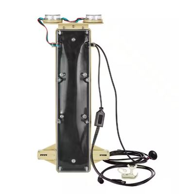 LED 12 ft. Skelly Lighting Kit IN STOCK LED 12 ft. Skelly Lighting Kit IN STOCK