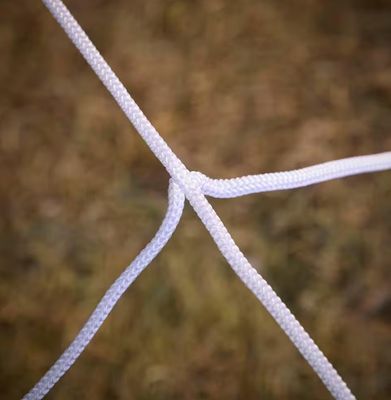 23 ft. Giant-Sized Spider Web IN STOCK