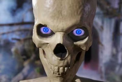 12 ft. Skelly Eye Kit - 8 Function IN STOCK 12 ft. Skelly Eye Kit - 8 Function IN STOCK