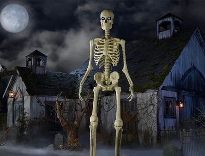 12 FT 12FT SKELETON 2.0 IN STOCK NOW 12 FT 12FT SKELETON 2.0 IN STOCK NOW