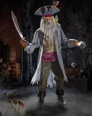 HOME DEPOT 6 FT PIRATE CAPTAIN CUTS IN STOCK HOME DEPOT 6 FT PIRATE CAPTAIN CUTS IN STOCK