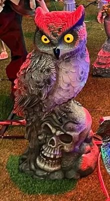 SMALL OWL PRE ORDER NOW FOR HALLOWEEN 2025 PRICE ADVERTISED IS DEPOSIT FOR PRE ORDER ONLY PLEASE READ DESCRIPTION