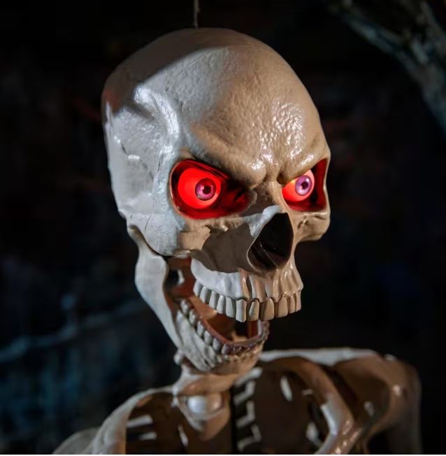 5FT ULTRA POSSABLE SKELETON ORDER NOW FOR HALLOWEEN 2025