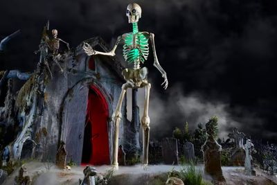 LED 12 ft. Skelly Lighting Kit IN STOCK
