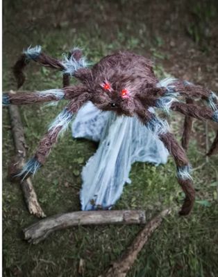 21 In LED Brown Jumping Spider Animatronic ORDER AIRFREIGHT DIRECT AUSTRALIA WIDE AND NEW ZEALAND