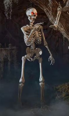 5FT ULTRA POSABLE SKELETON IN STOCK NOW
