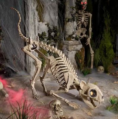 5 ft. Long Grave &amp; Bones LED Skelly's Cat H21 PRE ORDER NOW FOR HALLOWEEN 2026
