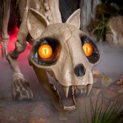 5 ft. Long Grave &amp; Bones LED Skelly's Cat H21 PRE ORDER NOW FOR HALLOWEEN 2026