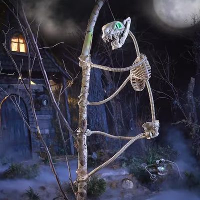 5.5 ft. Grave &amp; Bones LED Ultraposeable Constrictor Skeleton IN STOCK ON SALE