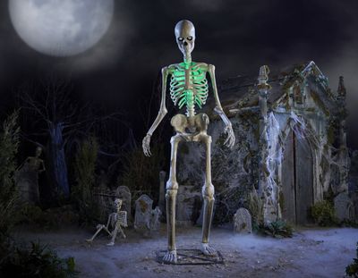 12 FT SKELETON / SKELLY APP CONTROLLED  LCD Life Eyes PRE ORDER NOW FOR HALLOWEEN 2026