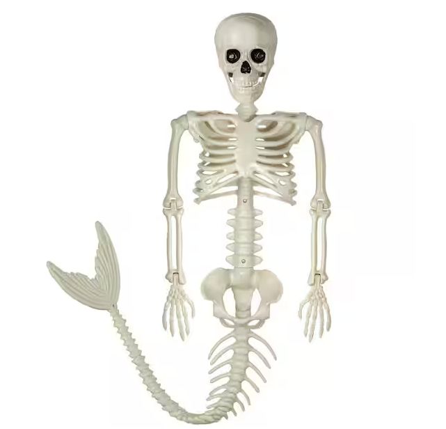38 in. White Halloween Mermaid Skeleton, Halloween Skeleton Mermaid with Posable Movable Joints and Soft Tail PRE ORDER