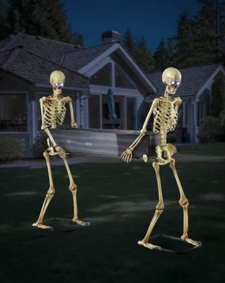 5 Ft LED Skeletons with Coffin ORDER NOW FOR 2026 DELIVERED AIRFREIGHT DIRECT TO YOUR DOOR AUSTRALIA WIDE