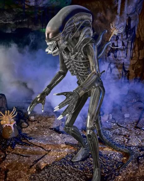 6 Ft 8 In Alien Xenomorph Animatronic ORDER AIRFREIGHT DIRECT AUSTRALIA WIDE AND NEW ZEALAND