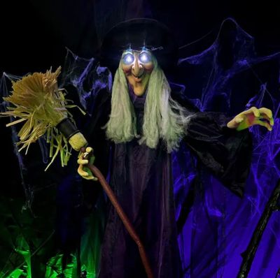Shop Haunted Hill Farm 6 ft. Animatronic Witch with Broomstick, Lights and Sound, Indoor or Covered Outdoor Halloween Decoration PRE ORDER NOW