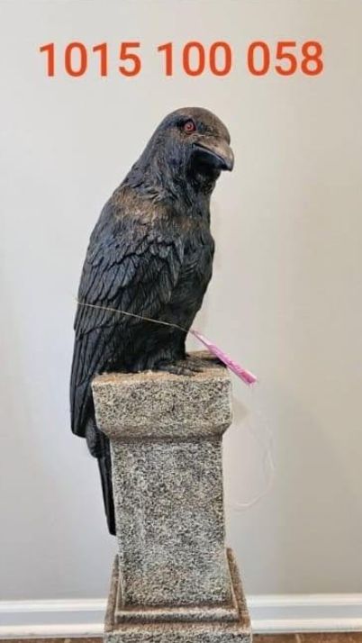 36 IN RAVEN ON TOMBSTONE PRE ORDER NOW FOR HALLOWEEN 2026