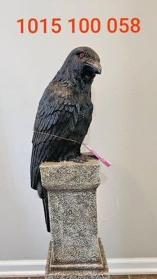 36 IN RAVEN ON TOMBSTONE PRE ORDER NOW FOR HALLOWEEN 2026