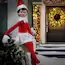 The Elf on the Shelf 5-ft Poseable Christmas Elf Girl PRE ORDER NOW FOR CHRISTMAS 2026