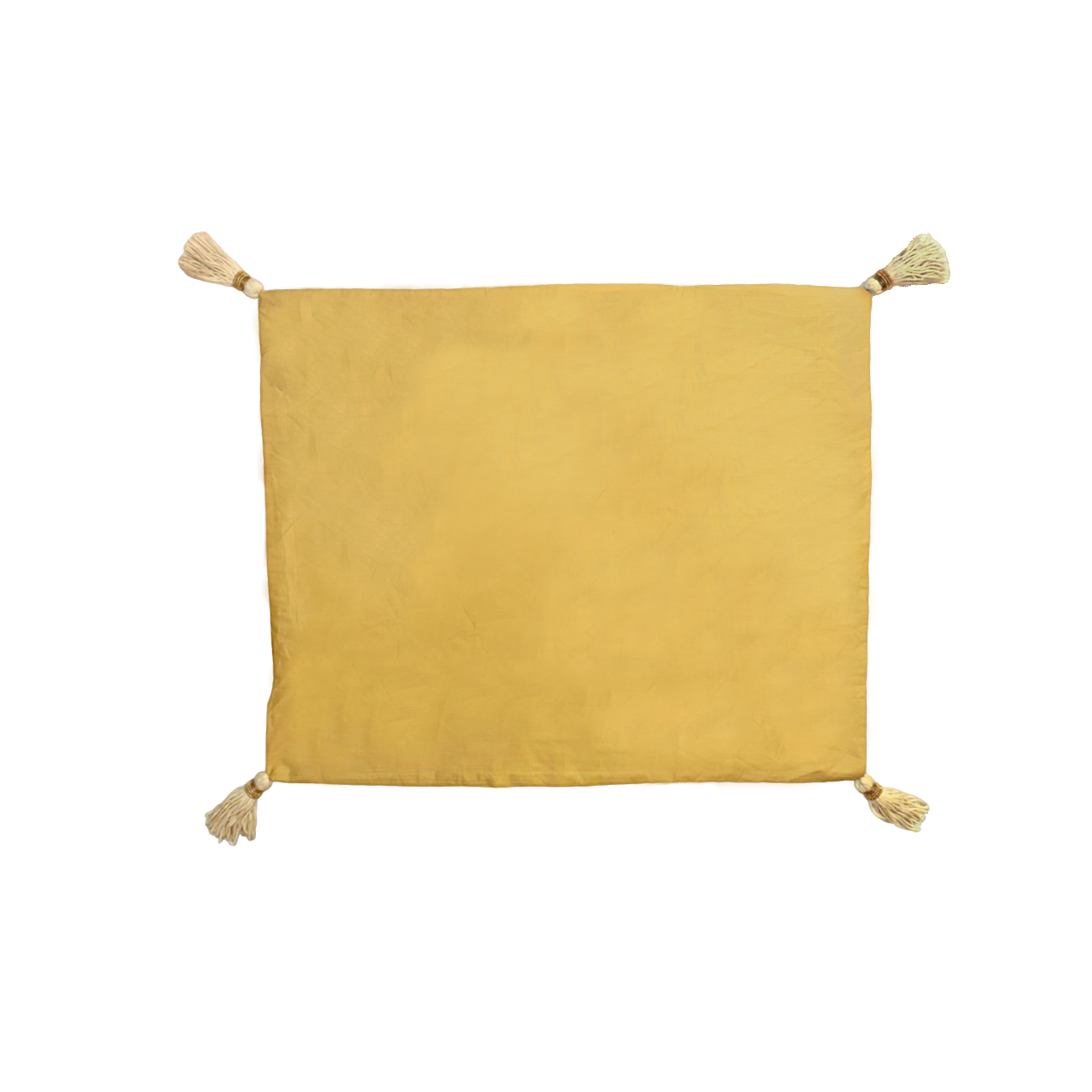 LEO Tassel Pillow Case